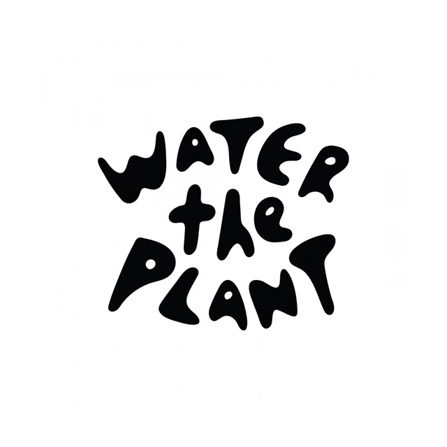 WATER THE PLANT